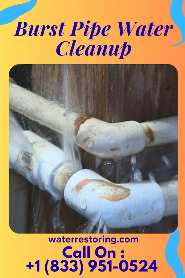 Burst Pipe Water Cleanup in Humphrey, NE