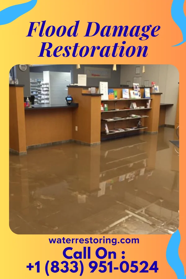 Flood Damage Restoration in Humphrey, NE