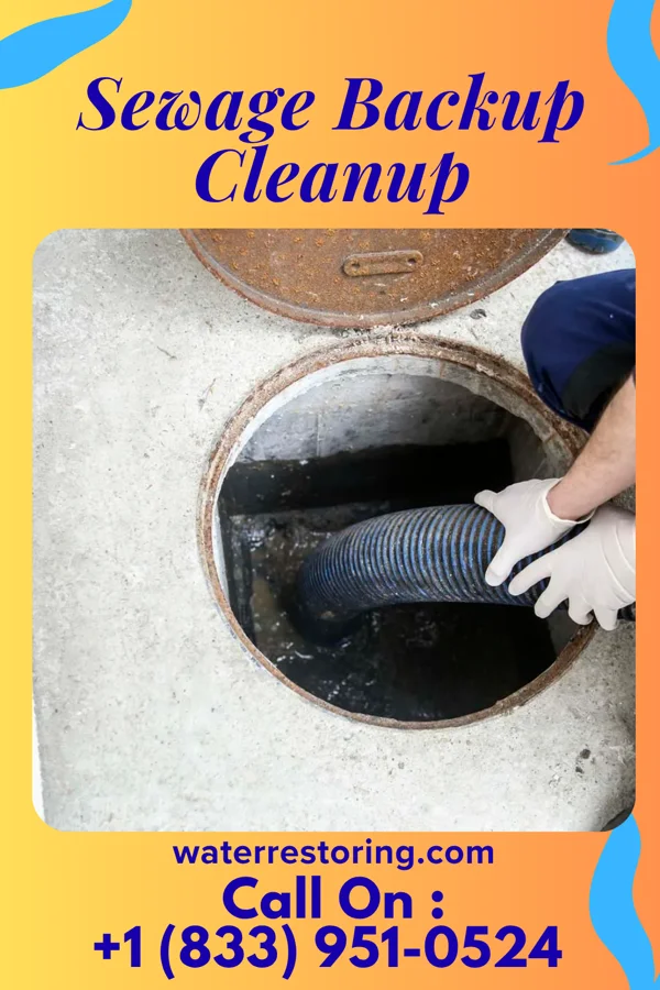 Sewage Backup Cleanup in Humphrey, NE