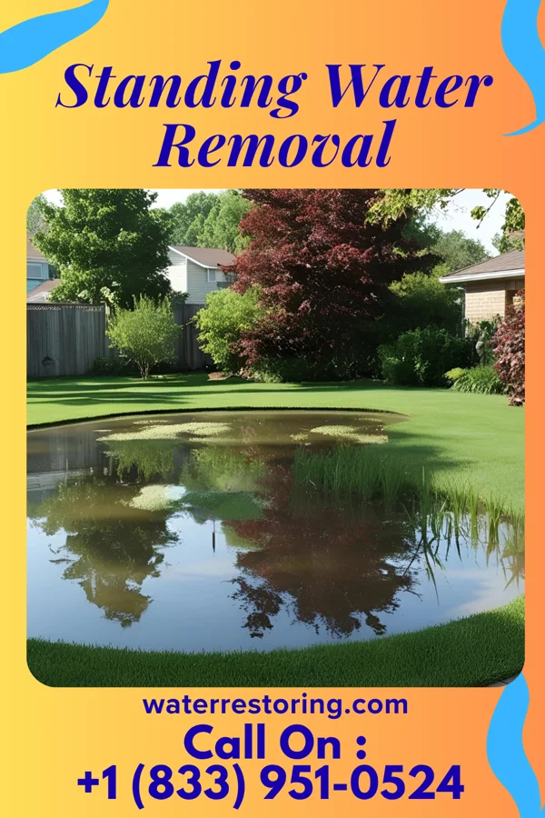 Standing Water Removal in Humphrey, NE